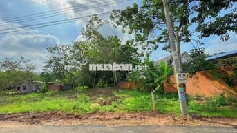 Đất TPHCM mới - ngay TTHC An Linh, 199,1m2 (100mtc) bán 360tr bao sổ.