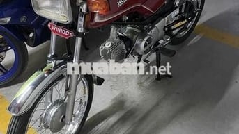 Win 100 Indo