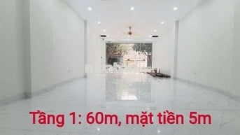 CHÍNH CHỦ CHO THUÊ 5,5 tầng 118 MẬU LƯƠNG