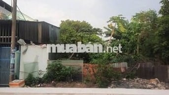 Đất tốt ngay tại Tân Thông Hội, Củ Chi dt : 135m2 chỉ với giá 865tr