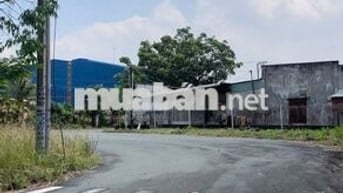 Bán đất xã Lai Hưng, huyện Bàu Bàng, Bình Dương, 125m2 giá 930tr