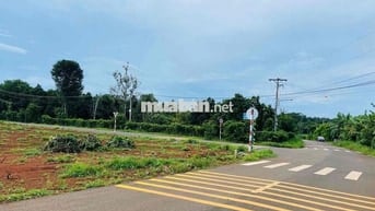 ĐẤT SÀO 3000M, THỔ CƯ 240m, ĐƯỜNG SỐ 90, LONG PHƯỚC BRVT