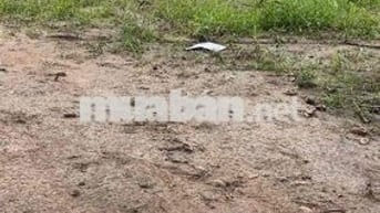 Đất thổ cư sổ sẵn công chứng trong ngày