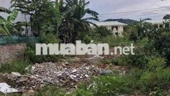bán đất tái định cư đà sơn , đường đà sơn 8