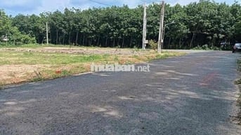 Đất mặt nhựa Tp HCM bán nhanh trong tuần giá 5xx triệu