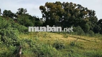 Chính chủ về quê muốn bán lại lô đất giá rẻ , sổ sẵn có thổ cư