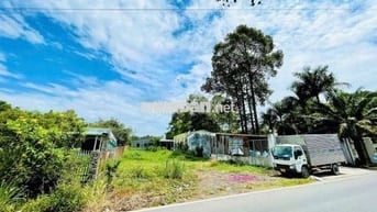 Đất Mt Lê Thị Vui - Phước Hiệp - Tân An Hội mới dt : 5m x 39m 1ty9