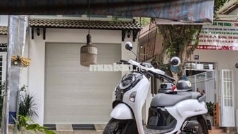 bán xe scoopy 2025