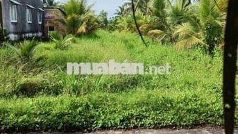 Đất sổ đỏ 641.9m2 Phước Hậu, Tam Phước, Châu Thành, Bến Tre