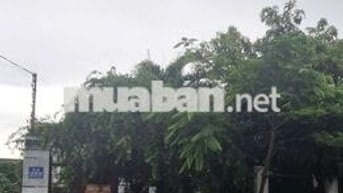 Bán nhà cấp 4 đường Bùi Huy Bích