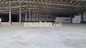 Cho Thuê Kho Xưởng 500m2 - 1000m2 Trong Kcn Vĩnh Lộc, Đường Công 24h