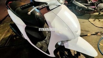 Xe janus