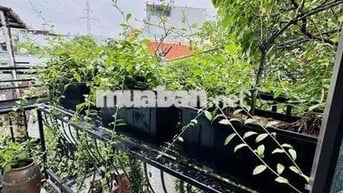 SIÊU HIẾM: TRƯƠNG ĐỊNH - CĂN GÓC - 6 NGỦ - KINH DOANH ĐỈNH