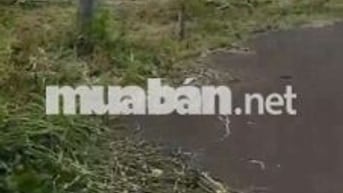 CẦN TIỀN XOAY VỐN NÊN BÁN 1670M2 ĐẤT BÀU LÂM, XUYÊN MỘC, BR-VT