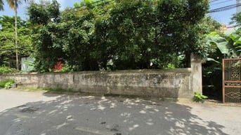 Cần bán đất trong Làng Yên Mỹ, xã Thanh Trì, Hà Nội