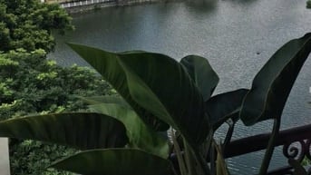 bán đất mặt hồ Bồ Đề Long Biên