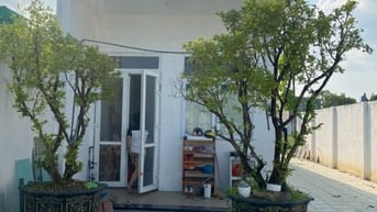 Cho thuê nhà vườn 1650m2 Củ Chi