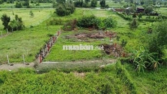 Bán Đất 500m2 Ngay Võ Văn Bích Bình Mỹ Củ Chi