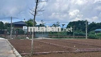 Đất full thổ cư ngay lõi đô thị Hòa Lạc