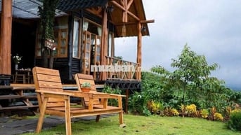 Trốn phố, tìm mây – sở hữu ngay 1000m² đất nền nghỉ dưỡng tại Bảo Lâm