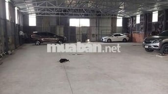 Cho Thuê Kho Xưởng Gần KCN Tân Bình. DT 500m2. Giá 45 triệu