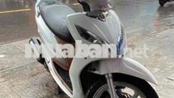 Shark mới ken