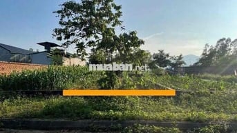 TÁI ĐỊNH CƯ VAI RÉO ĐƯỜNG RỘNG VỈA HÈ RỘNG HẠ TẦNG ĐỒNG BỘ PHÚ CÁT QO