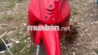 xe đi cầy