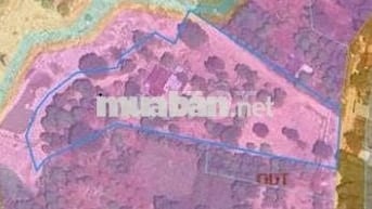 Chính chủ cần bán gấp lô ở Tân Hoà, Tp.Phú Mỹ, BRVT