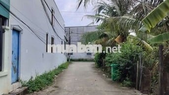 BÁN DÃY PHÒNG TRỌ MỸ XUÂN, ĐANG CHO THUÊ, 14 PHÒNG , NẰM NGAY KHU CN
