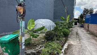 Bán 50m2 đất tại Bạch Mai An Dương Hải Phòng