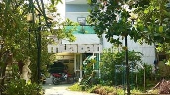 Gần 300m2 đất+🏡Nhà cây xanh lá vườn🍀hẻm xe hơi🚙 hiếm, đẹp‼️13,9 tỷ