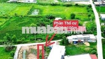 Bán vườn cây 993m thôn bình an Hàm chính,  QL28 có thổ cư