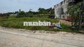 Bán đất thổ cư khuân viên đẹp cách đường quốc lộ 3 .100m đường oto