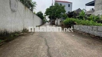 ❤️Trục chính kinh doanh giá rẻ nhất,Thư dương thư Phú thường tín -