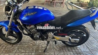 HORNET 250