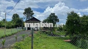 HỢP LÝ NHẤT LÚC NÀY - CHỈ 1.250 Tỷ - Nhà vườn 1000mv tại Thôn4, Cư Êbu