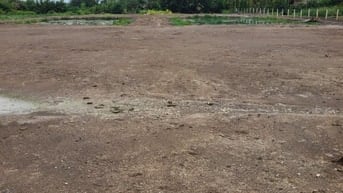 BÁN 4291 M2 ĐÂT, THỬA SỐ 86 TỜ BẢN ĐỒ SỐ 3, SỐ 7 PHẠM THÁI BƯỜNG