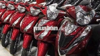 Hỗ Trợ Trả Góp Xe - Tiền Mặt