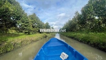 cần bán vườn đang trồng sầu riêng ,mít đang cho thu hoạch