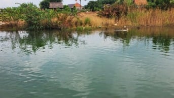 Cần bán 12169 m2 đất trồng cây lâu năm, thửa số 391  tờ bản đồ số 3,