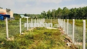 125M2 ĐẤT ĐẸP BÀ THIÊN NHUẬN ĐỨC ĐẦU TƯ HAY XÂY NHÀ ĐỀU LỢI NHUẬN CAO
