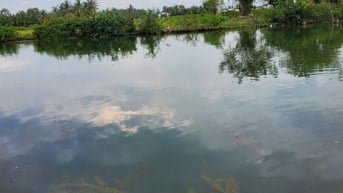 Cần bán 3563 m2 đất nông nghiệp, thửa số 1 tờ bản đồ số 3, 