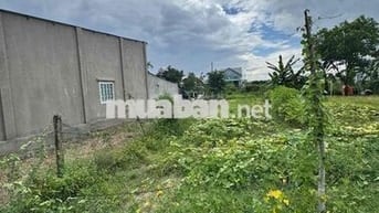 ĐẤT ĐẸP - GIÁ TỐT - CẦN BÁN GẤP LÔ Đất ĐẸP Tại Ấp 3 - Bàu Đồn - Gò Dầu
