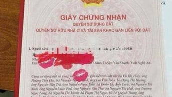 Bán 2 Căn CCMN Thoáng Đẹp - Phôi Sổ Đồng Đồng Sở Hữu- Lạc Long Quân
