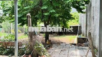 Chủ cần bán căn nhà vườn tại ấp chợ xã Tân Phú Trung