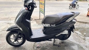 yamaha latte 2023