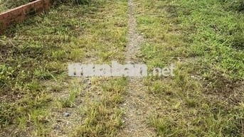 dsh vĩnh thanh Nhơn trạch Đồng nai