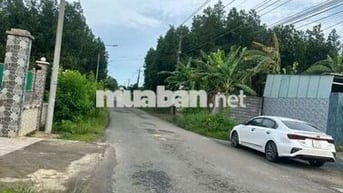 Đất mặt tiền Hương lộ 15, Phường Tân Triều