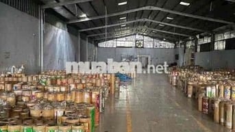 cho thuê kho xưởng sạch đẹp kiên cố